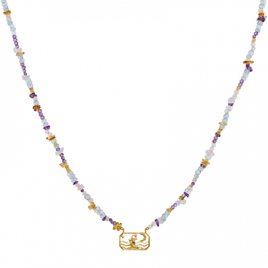 Zodiac Air Aquarius Halsband (Guld)