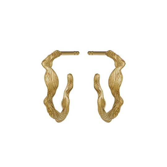 Ara örhänge (guld)