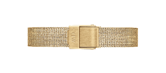 Daniel Wellington DW Band Quadro / Petite Pressed Evergold 10mm Gold