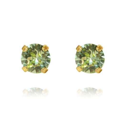 Örhängen Classic Stud Chrysolite