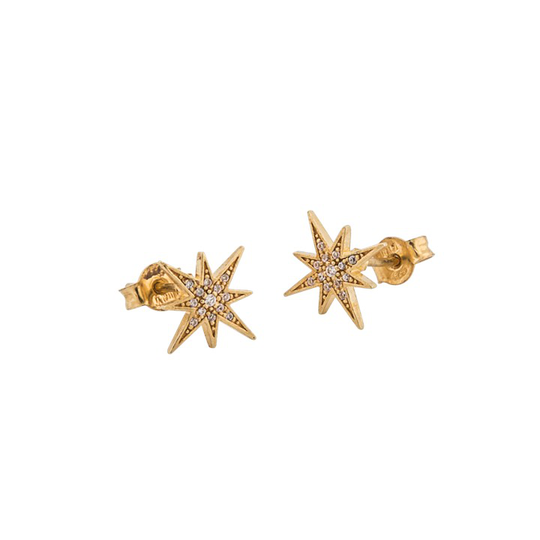 One star örhänge Guld