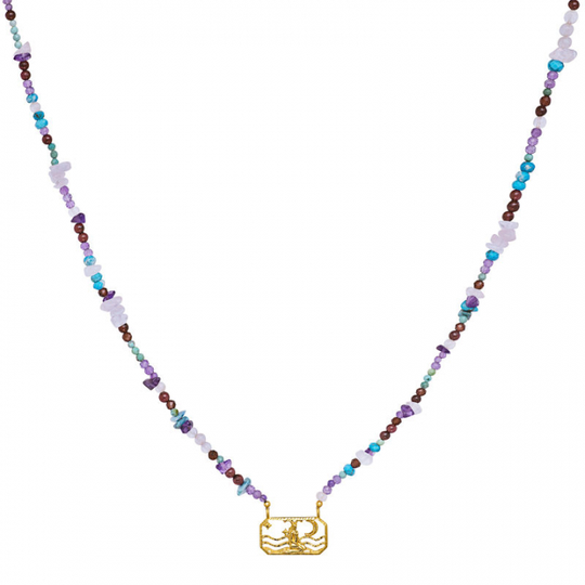 Zodiac Earth Capricorn Halsband (Guld)