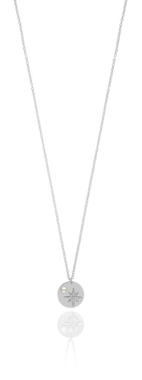 One coin halsband Silver 50-60 cm