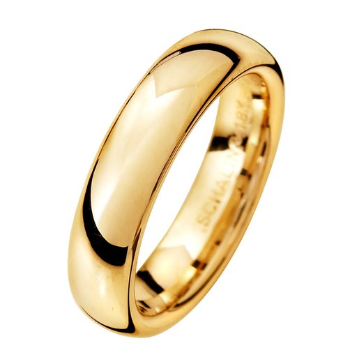 Förlovningsring i 18K guld 5mm, 71
