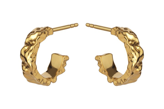 Aio Petite örhänge (guld)