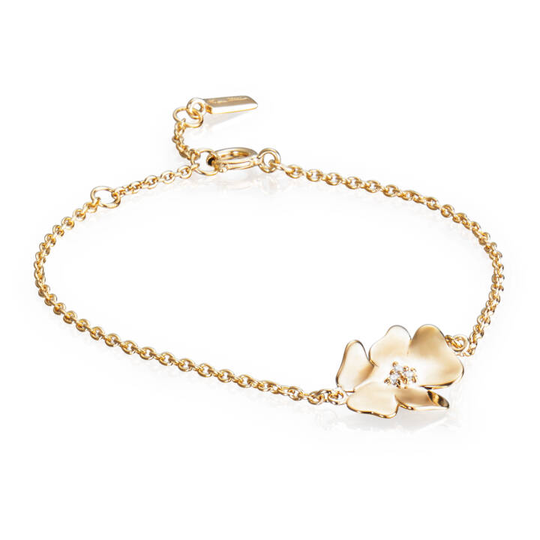 Violet & Stars Armband Guld