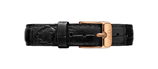 Daniel Wellington DW Band Petite Reading 12mm Roséguld