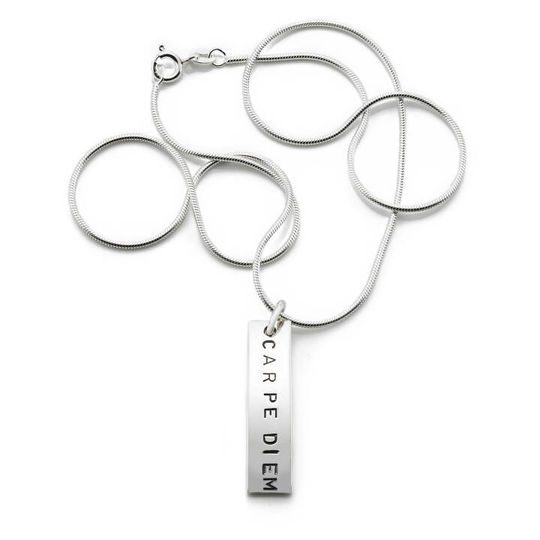 Carpe Diem Hängsmycke Silver