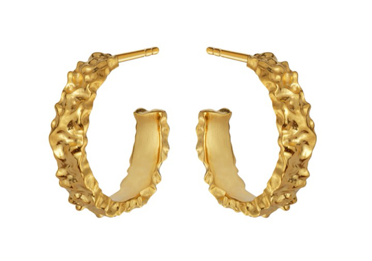 Aio Medium örhänge (guld)