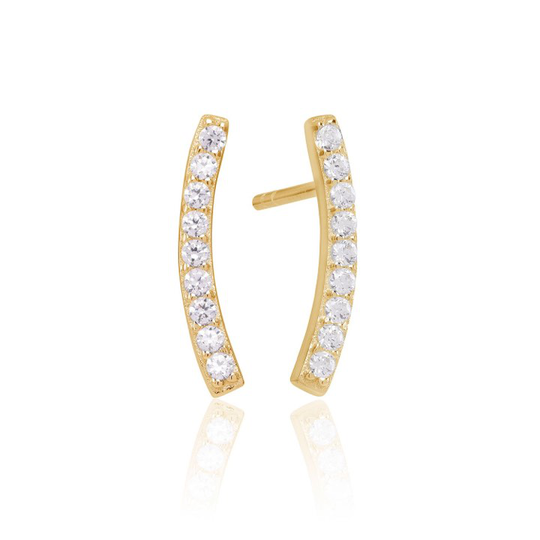 FUCINO EARRIGS vita Zirkoner (guld)