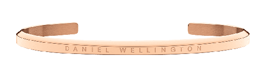 Daniel Wellington DW Classic Bracelet L Roséguld